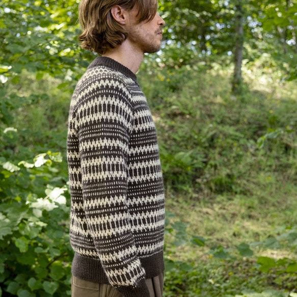 2410 - 05 Kleiva sweater for men - Sandnes Garn