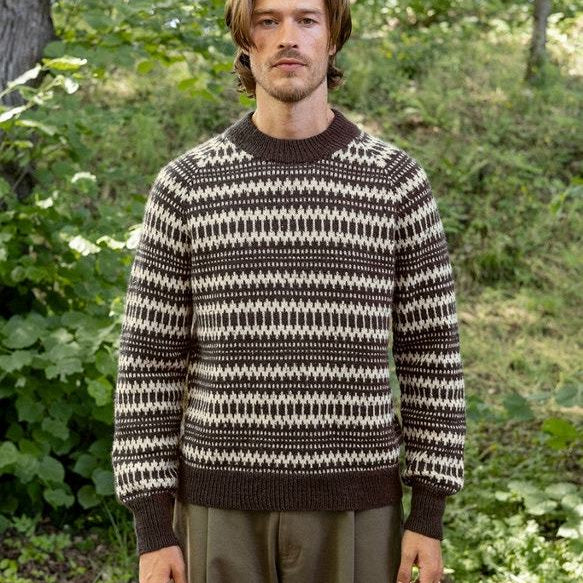 2410 - 05 Kleiva sweater for men - Sandnes Garn
