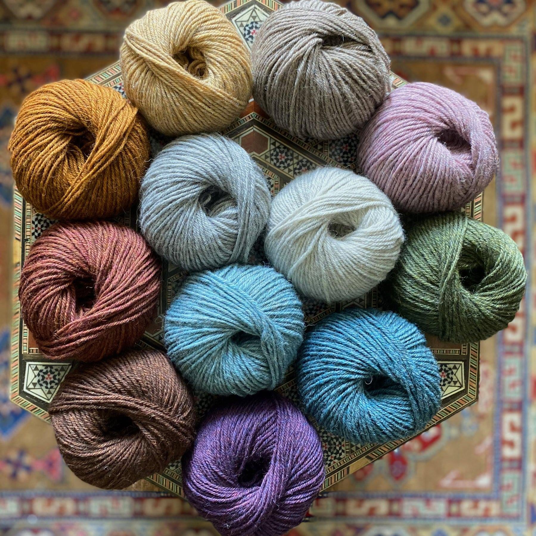 Blossom ARAN - British Breeds - Marie Wallin