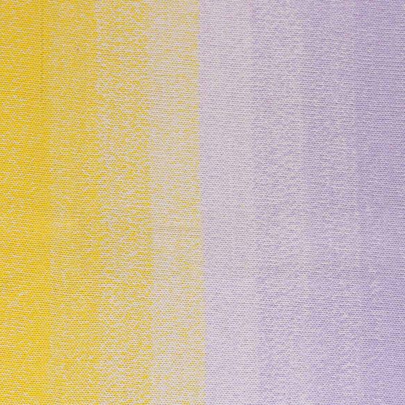 716-Purple Passion Cotton Whirl - Scheepjes