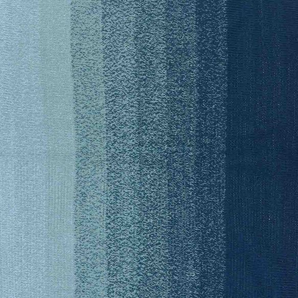 731-Blueberry Swirl Cotton Whirl - Scheepjes