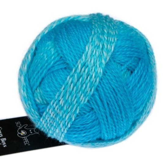 2696 - Ludwig Crazy Boys - Schoppel Wolle