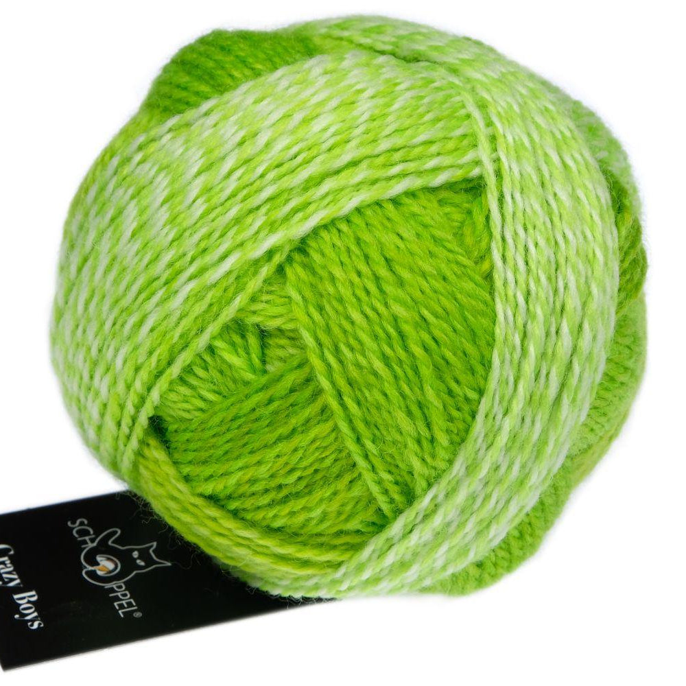 2697 - Kurt Geroge Crazy Boys - Schoppel Wolle