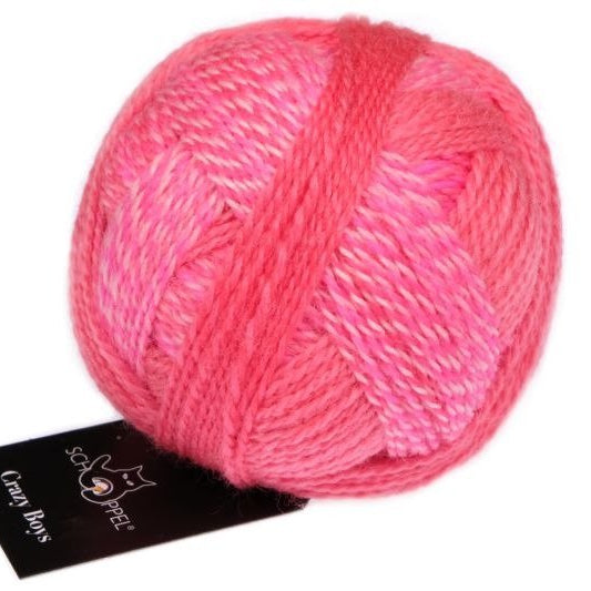 2701 - Willy Crazy Boys - Schoppel Wolle