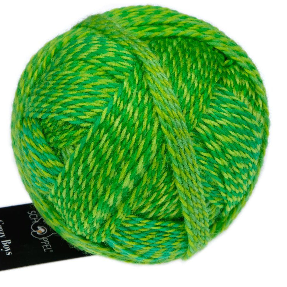 2707 - Franck Walter Crazy Boys - Schoppel Wolle