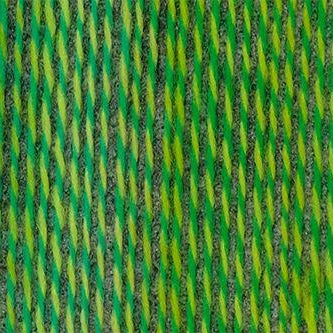 2707 - Franck Walter Crazy Boys - Schoppel Wolle