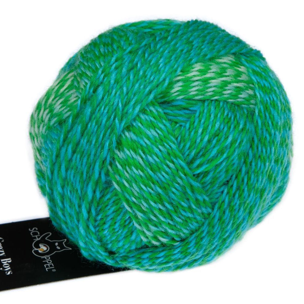 2708 - Joachim Crazy Boys - Schoppel Wolle