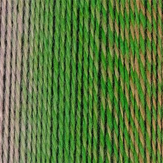 2730 - Nautilus Crazy Zauberball - Schoppel Wolle