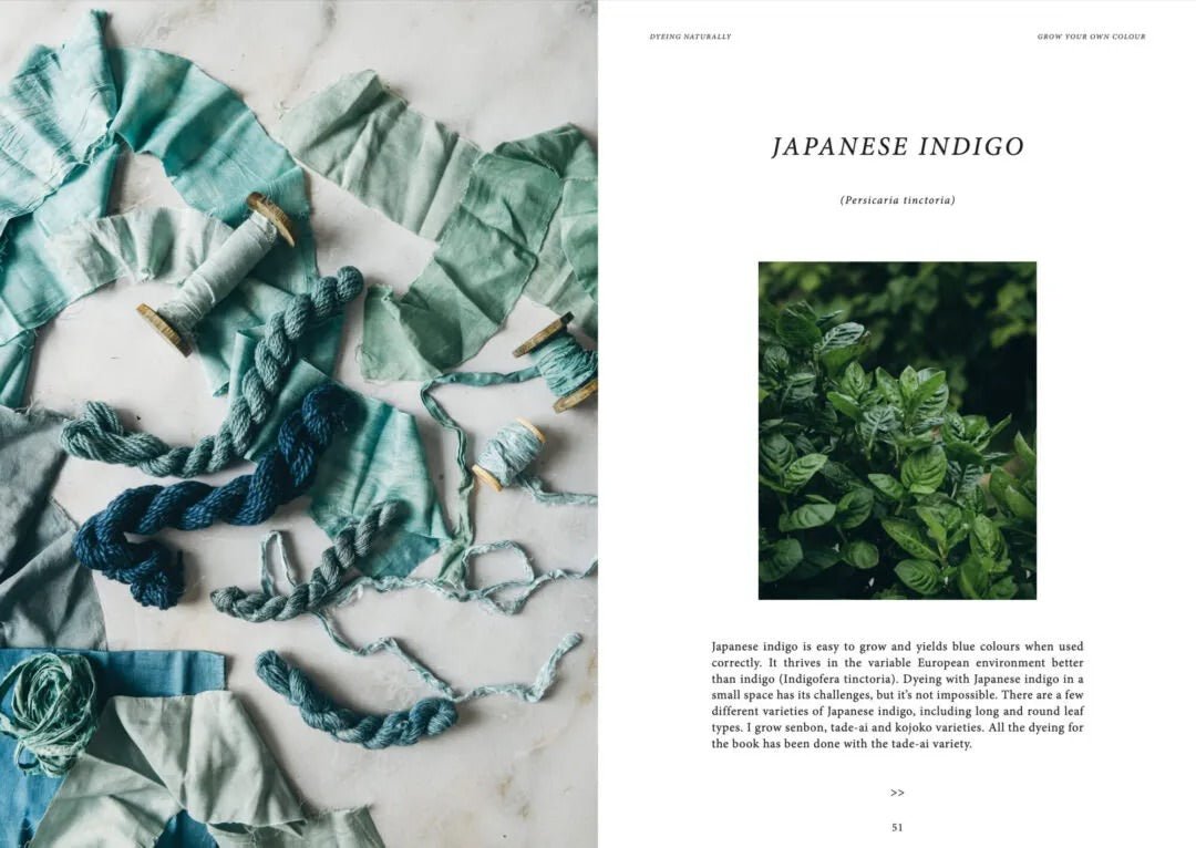 Dyeing Naturally - Cozy