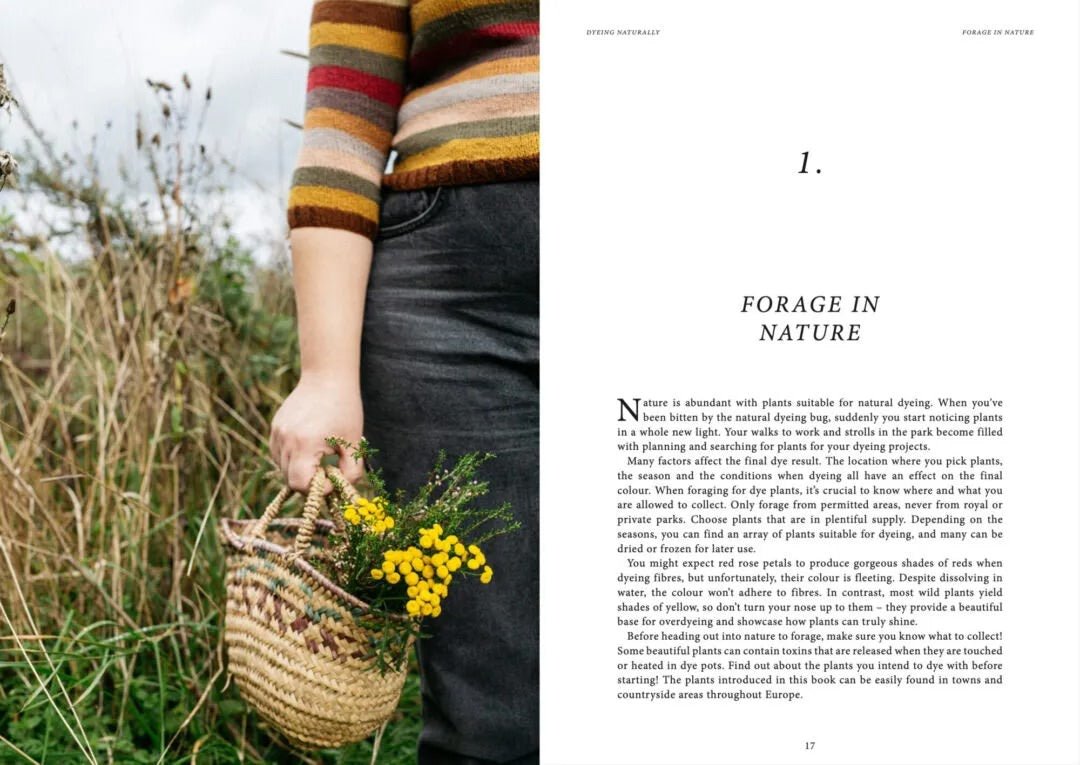 Dyeing Naturally - Cozy