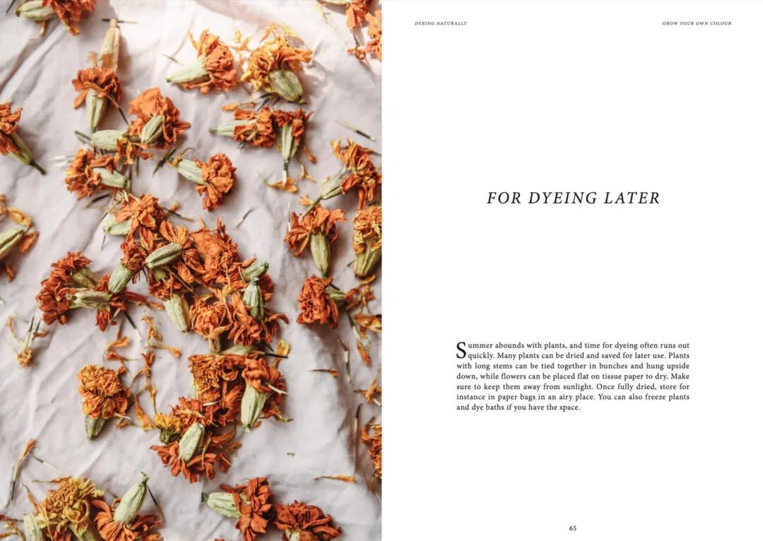 Dyeing Naturally - Cozy