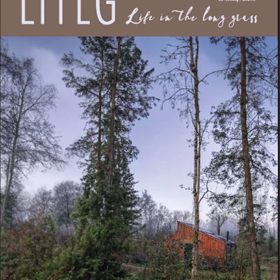 Issue 7 – Into the Hills Cabin Living - Life in the Long Grass