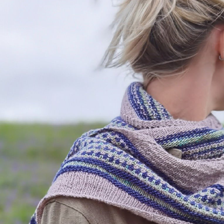 Issue 8 – Winter from the West & North - Life in the Long Grass