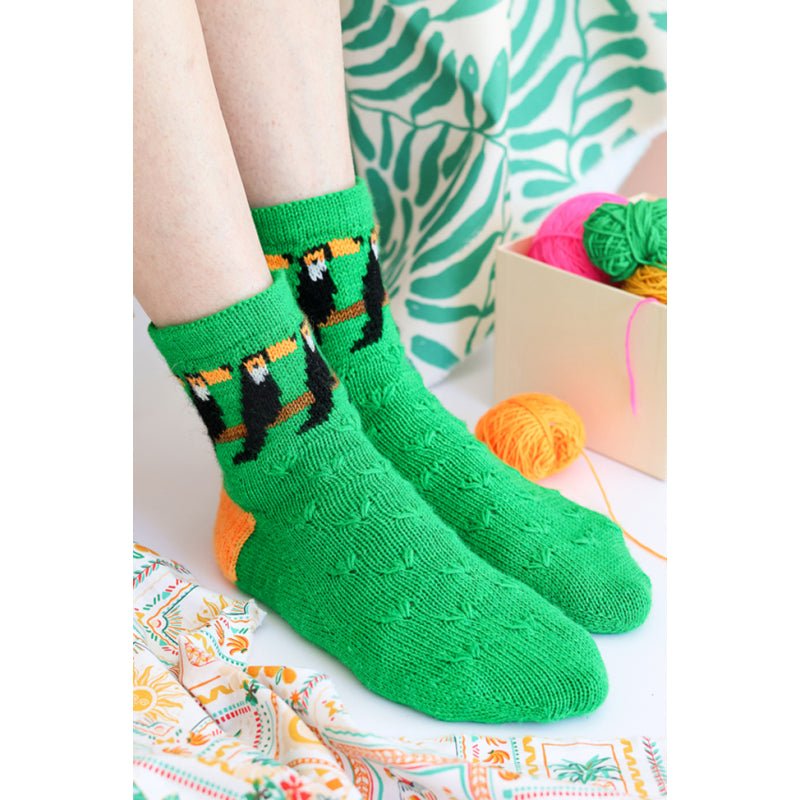 Le guide des chaussettes autour du monde au tricot jacquard - Editions de Saxe
