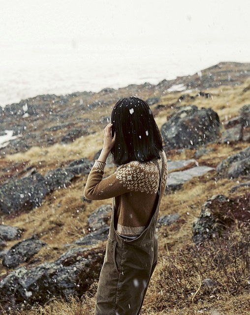 Le Tricot du Grand Froid - Weichien Chan