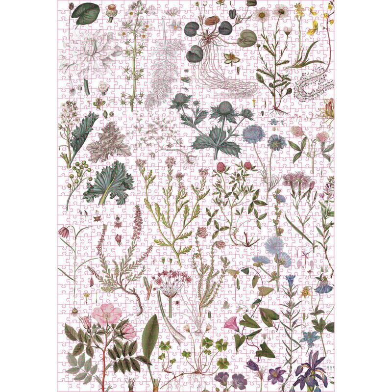 Puzzle Flora Danica Atlas 1000 pièces - Koustrupco