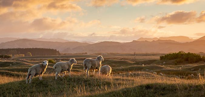 Carte Cadeau Laine et Tricot 10 € - Laine et Tricot