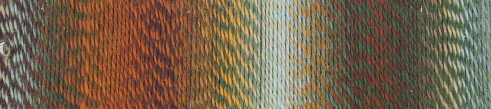 1660 - Arroyo Crazy Zauberball - Schoppel Wolle