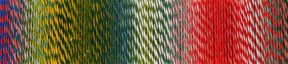 1701 - Parrot Crazy Zauberball - Schoppel Wolle