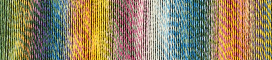 2334 - Malerwinkel Crazy Zauberball - Schoppel Wolle