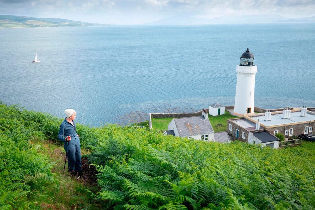 Davaar - Kate Davies