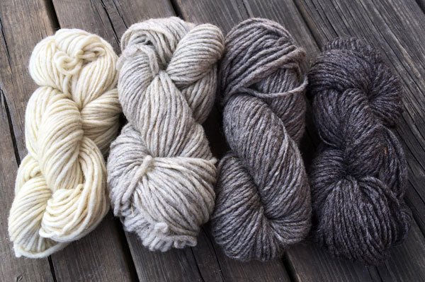 FIL K Toisons Bretonnes / Hampshire Ecru - Les Toisons Bretonnes