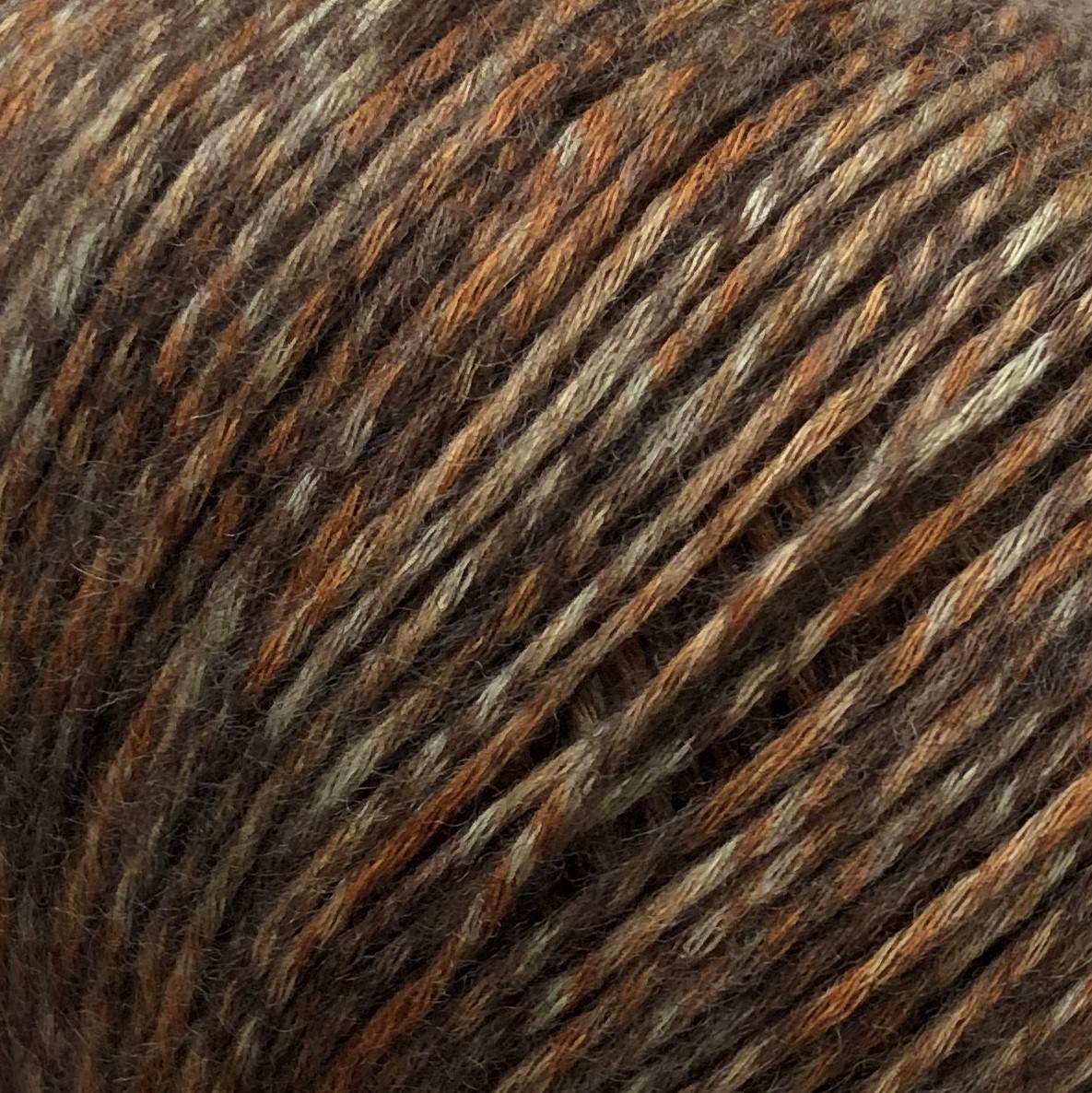 HOST de Camarose 8206-Kastaniebrun - Camarose