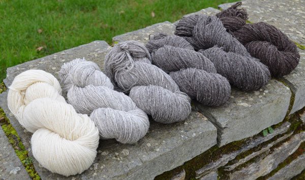 Origine – 2 fils Ecru - Les Toisons Bretonnes