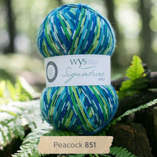 SIGNATURE 4PLY - COUNTRY BIRDS 851-Peacock - West Yorkshire Spinners