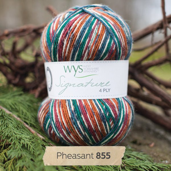 SIGNATURE 4PLY - COUNTRY BIRDS 855-Pheasant - West Yorkshire Spinners