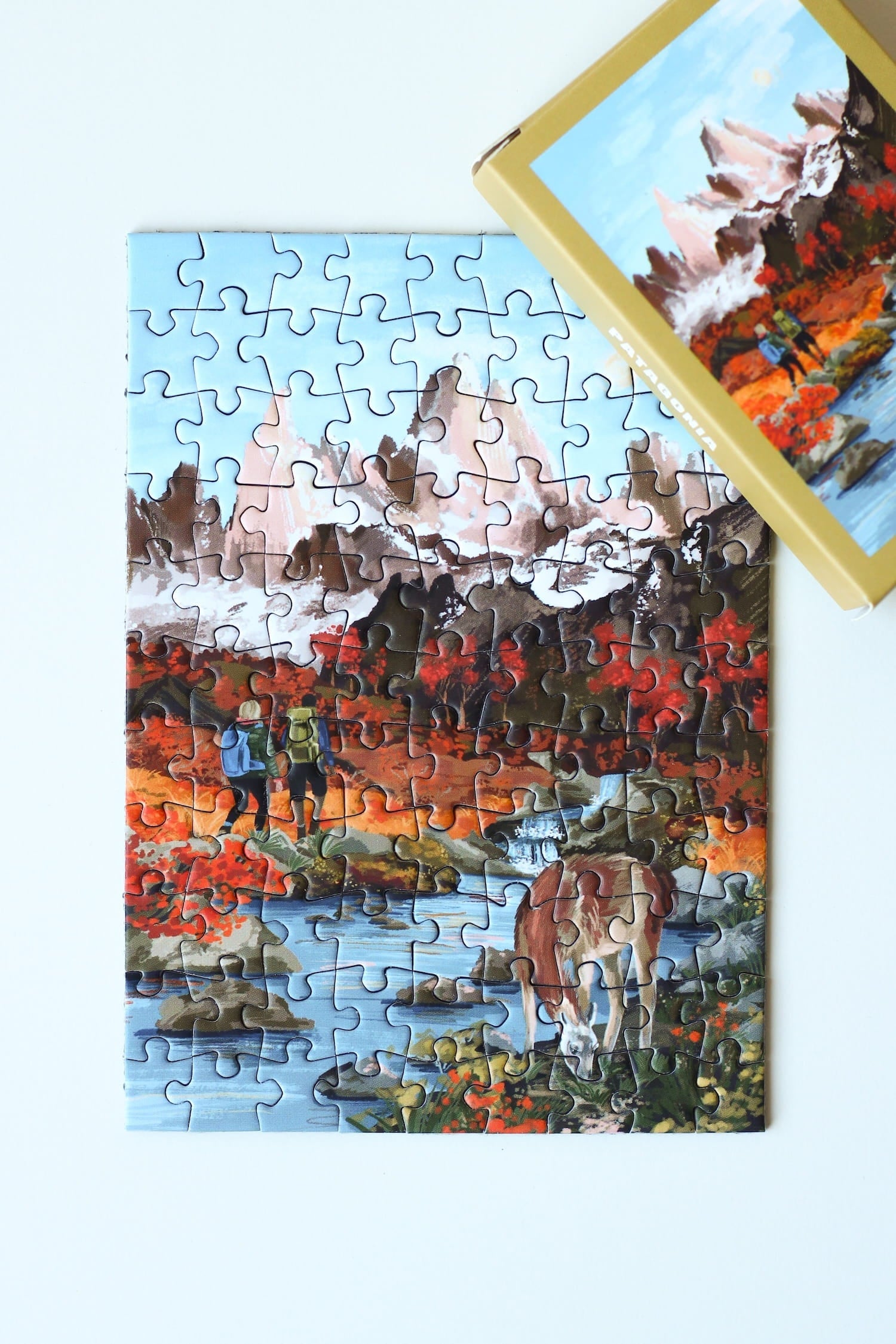 Mini-puzzle Patagonie, 99 pièces