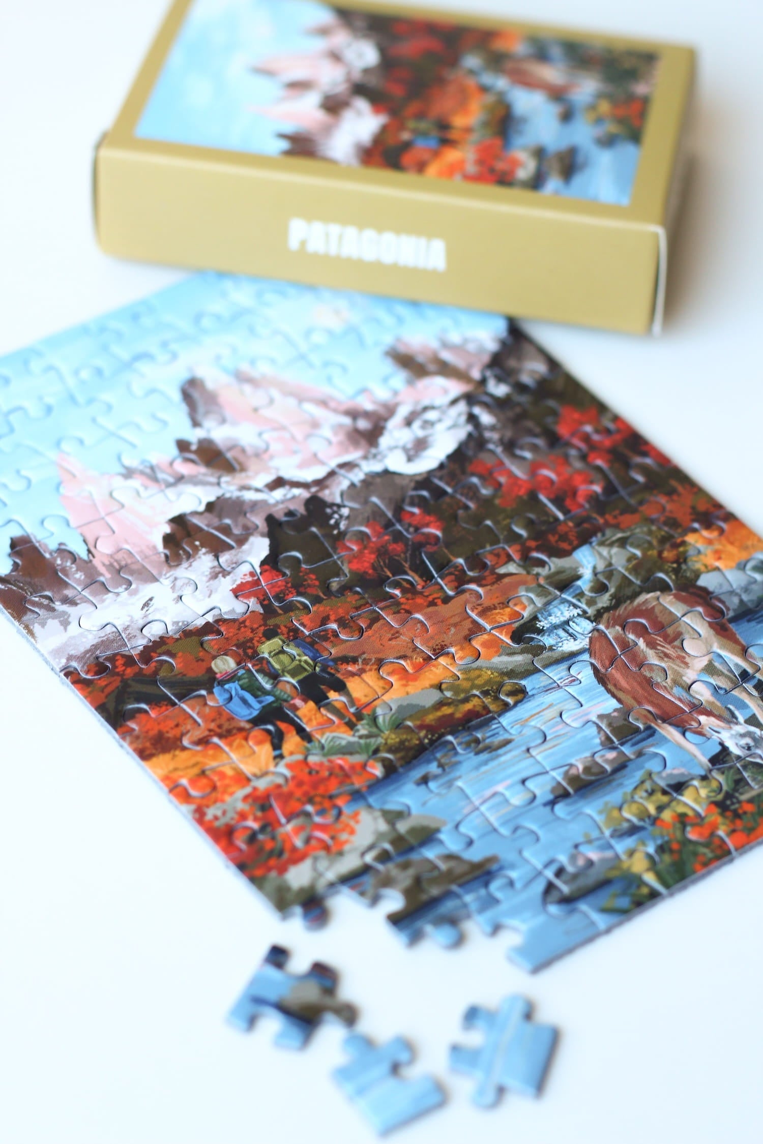 Mini-puzzle Patagonie, 99 pièces