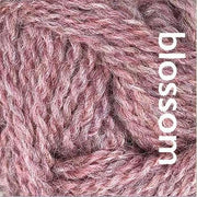 Blossom ARAN - British Breeds - Marie Wallin
