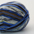 2460 - Bamble Chaussettes et plus Collection 4ply - Arne & Carlos