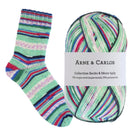 3000 - Frost Night Color Chaussettes et plus Collection 4ply - Arne & Carlos