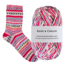 3001-Lantern Night Color Chaussettes et plus Collection 4ply - Arne & Carlos