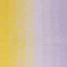 716-Purple Passion Cotton Whirl - Scheepjes