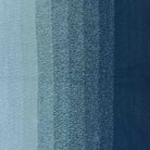 731-Blueberry Swirl Cotton Whirl - Scheepjes