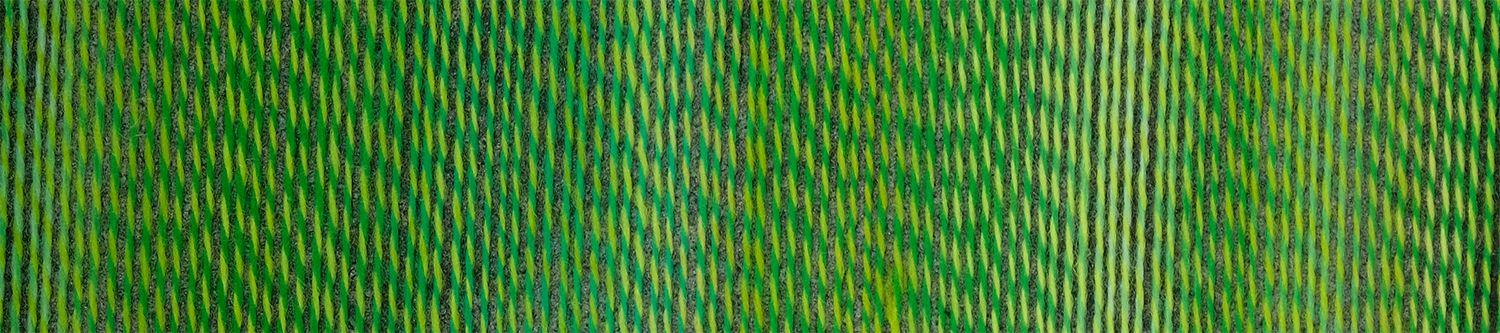 2707 - Franck Walter Crazy Boys - Schoppel Wolle