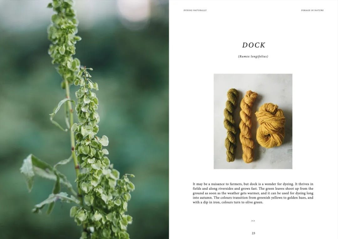 Dyeing Naturally - Cozy