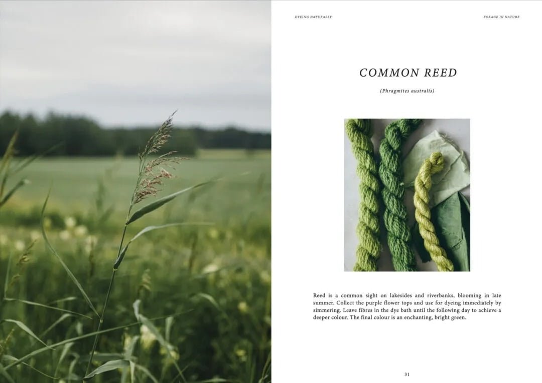 Dyeing Naturally - Cozy