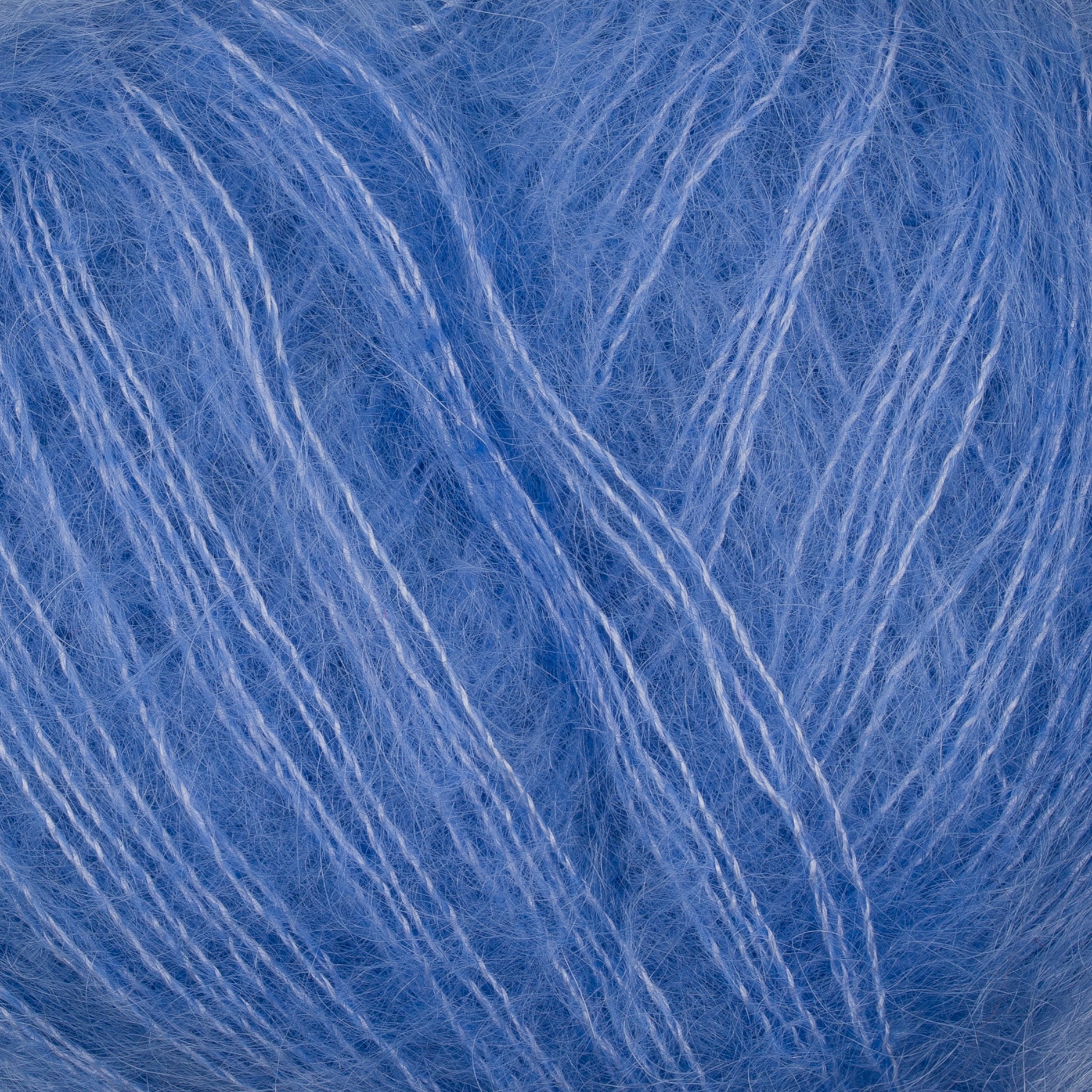 730 - Blue Kid Seta - Gepard