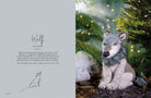Magical Woodland Knits - David and Charles