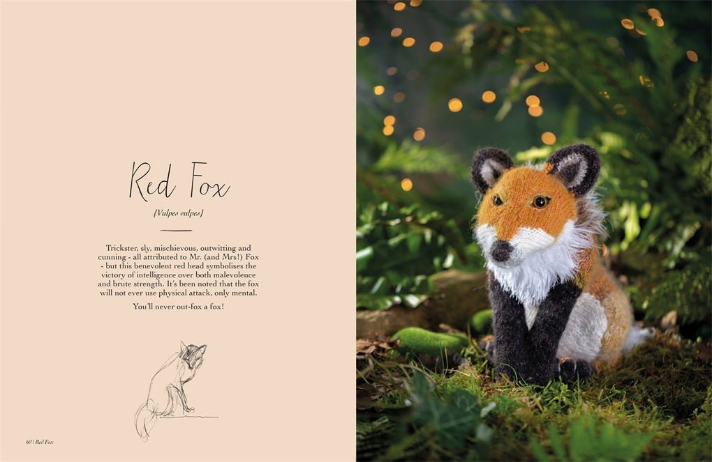 Magical Woodland Knits - David and Charles