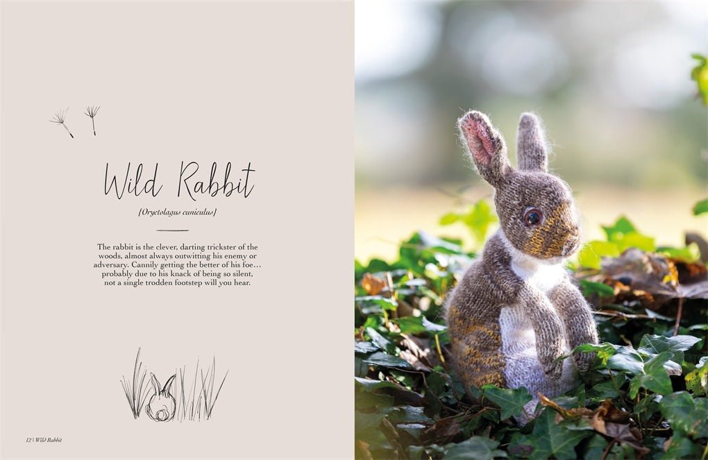 Magical Woodland Knits - David and Charles