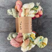Day 15 (Peony Mews) MINI SOCK FADE SETS - Lichen and Lace
