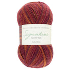 Noël 2025 Signature 4ply - Mulled Wine - West Yorkshire Spinners