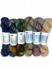 DK Fade Set 8 POTLUCK – MERINO DK - Hedgehogfibres