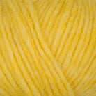 116 - Yellow PUNO - Gepard
