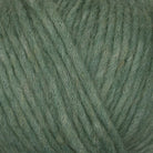 822 - Lichen PUNO - Gepard